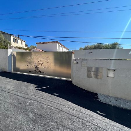 Chambres D'Hotes Les Oliviers - Marignane Esterno foto