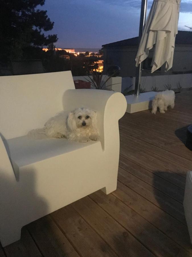 Chambres D'Hotes Les Oliviers - Marignane Esterno foto