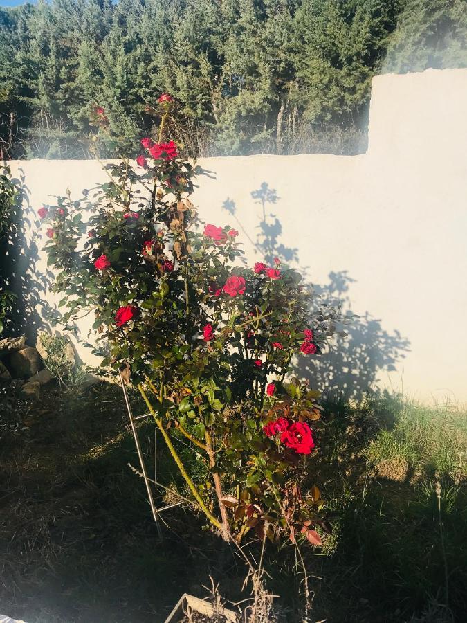 Chambres D'Hotes Les Oliviers - Marignane Esterno foto